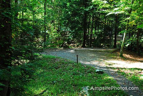 Elkmont - Campsite Photos, Reservations & Camping Info