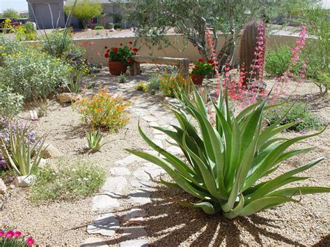 xeriscape colorado springs Xeriscape Plants, Xeriscape Landscaping, Succulent Landscaping ...