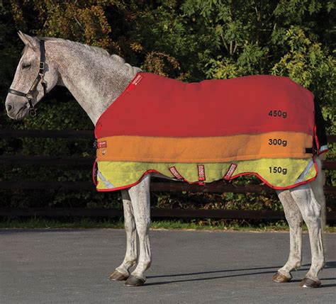 Horse Rugs Guide - Different Types Of Rug And When To Use Them by Team Horsemart | Horsemart