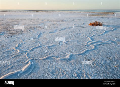 Lake Eyre's salt crust forming patterns Stock Photo - Alamy