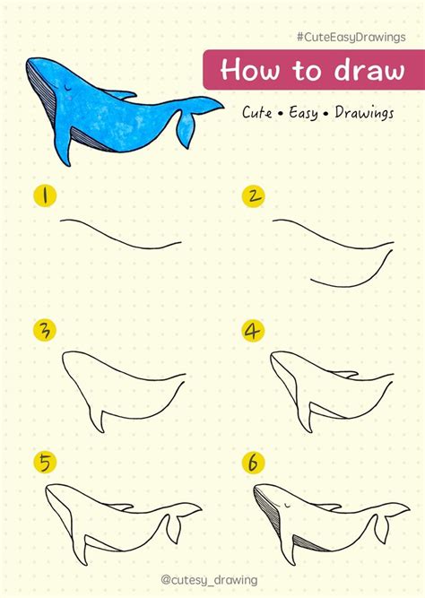 How To Draw A Blue Whale Step By Step at Drawing Tutorials