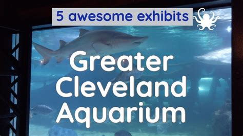 Does The Cleveland Zoo Have An Aquarium - Aquarium Views