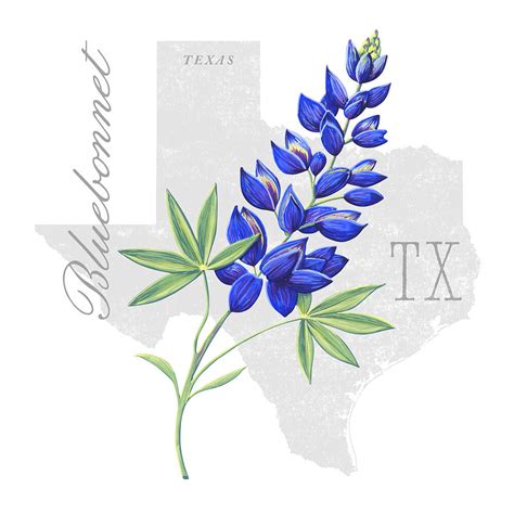 Texas State Flower Bluebonnet Art by Jen Montgomery Painting by Jen Montgomery - Fine Art America