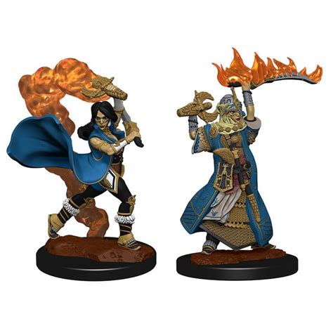 Human Cleric (Female) - Dungeons & Dragons Miniatures, Hobbies & Toys ...