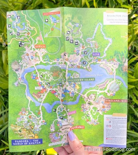 See What Has Changed on the NEW Map for Disney’s Animal Kingdom ...