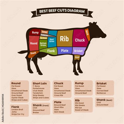 Beef Cuts Diagram With American Cuts Of Beef Meat Vector Illustration Stock Vector | Adobe Stock