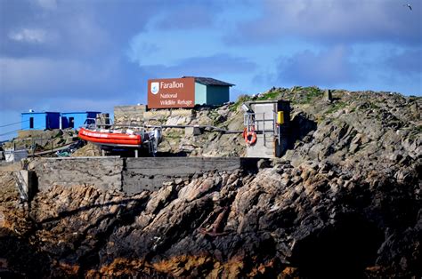 A Guide To The Farallon Islands: San Francisco's Secret Wildlife Refuge