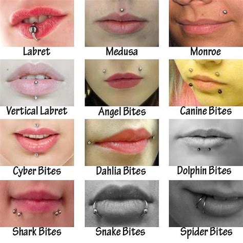 Which is your favourite lip piercing? Do you have one? | Lip piercing, Piercings, Face piercings