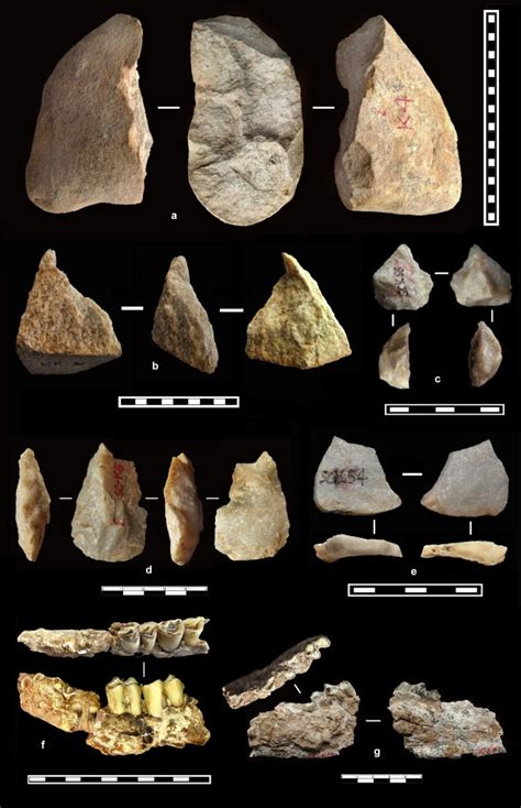 Hominin occupation of the Chinese Loess Plateau since about 2.1 million ...