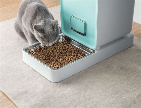 This Smart Pet Feeder Is Pretty Much like a Pet Sitter