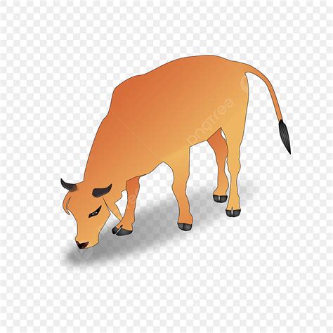 Indian Cow PNG Image, Indian Orange Ox Cow Vector Illustration, Ox, Art ...