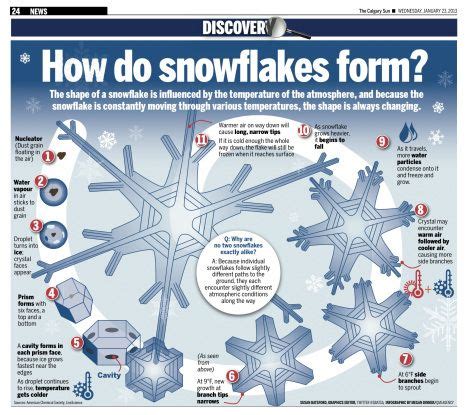 No two alike? Snowflake Shapes and Formation | Snowflakes, Weather ...