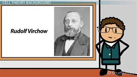 Rudolf Virchow | Theories, Discoveries & Contributions - Lesson | Study.com