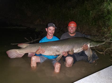 212 best Alligator Gar images on Pholder | Fishing, Deeeepioskins and ...