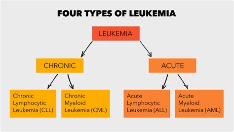 Types of Leukemia — Symptoms, Causes & Treatment - Healthy Time Mag