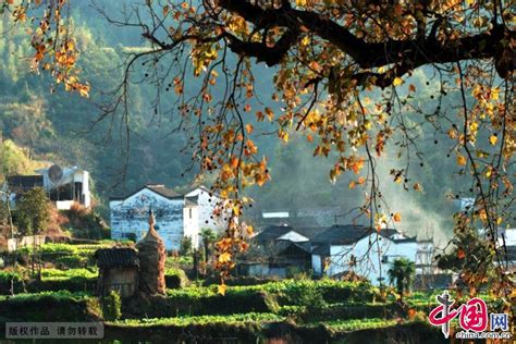 Autumn scenery of Wuyuan County, Jiangxi - China.org.cn