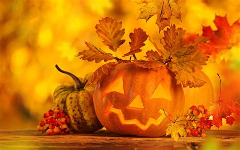 Autumn-Pumpkin, autumn, halloween, wooden table, still life, leaves, bokeh, berries, HD ...