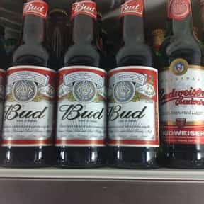 Anheuser-Busch Beers | List of Beers Made by Anheuser-Busch