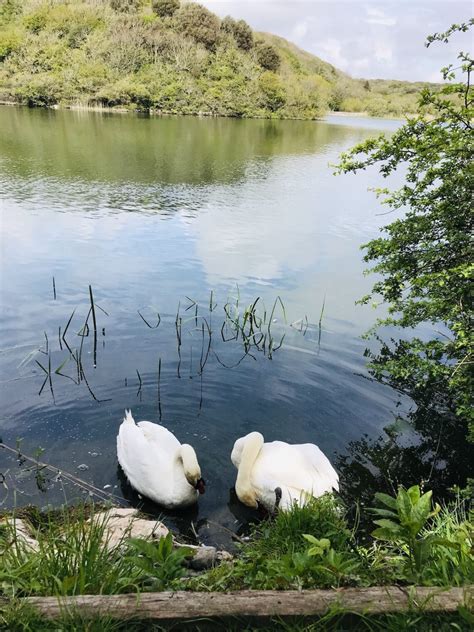 How To Visit Bosherston Lily Ponds And Walk To The Beach