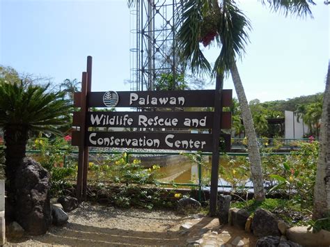 Little Red Rising: Palawan Wildlife Rescue and Conservation Center