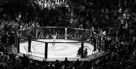 ufc, Mixed, Martial, Arts, Mma, Fight, Extreme, Battle, Battles ...