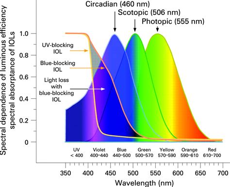 Circadian photoreception: ageing and the eye’s important role in systemic health | British ...