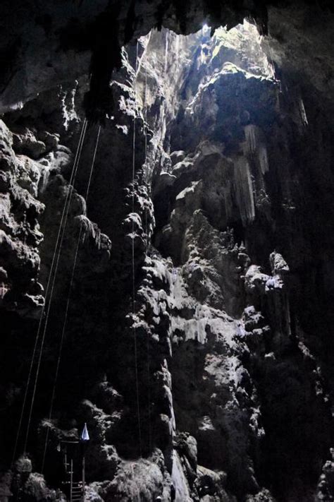 Bonito Caves: Cave Diving in Brazil | X-Ray Mag