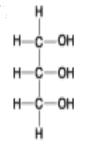 Meredith macromolecules diagrams Flashcards | Quizlet