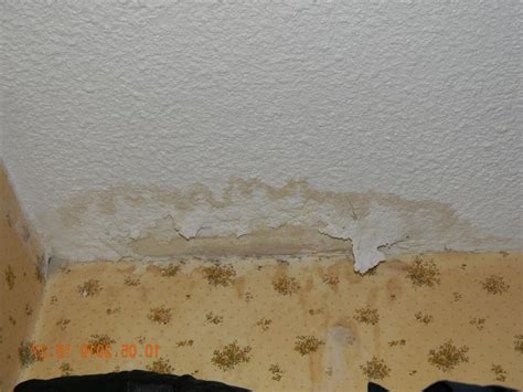 Drywall mold photos