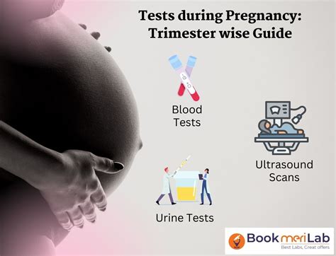 Tests During Pregnancy: Trimester Wise Complete Guide [2024]