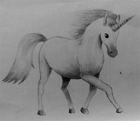 How To Draw Realistic Unicorn | Images and Photos finder