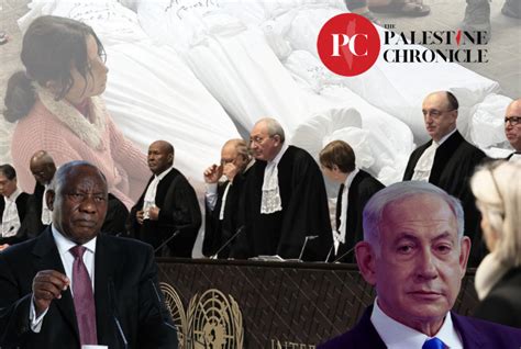 An Arms Embargo on Israel is Crucial to Give Credence to ICJ Ruling on Genocide - Palestine ...