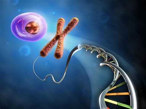 Epigenetic inheritance, and how the way you live your life could affect your offspring