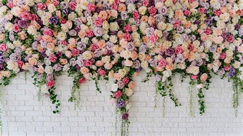 10 Stunning Virtual Wedding Backgrounds & Décor Ideas