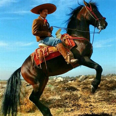 Charro revelde | Horses, Animals