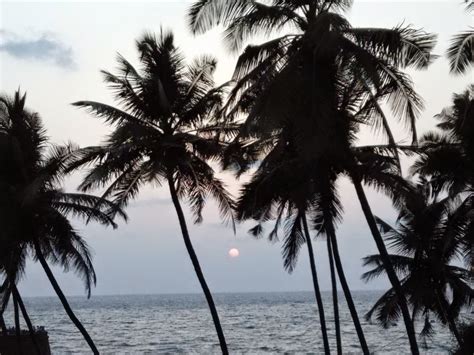 Best Sunset Beach Point in Goa, 5 Most Beautiful Sunsets in Goa Pictures - Tripoto