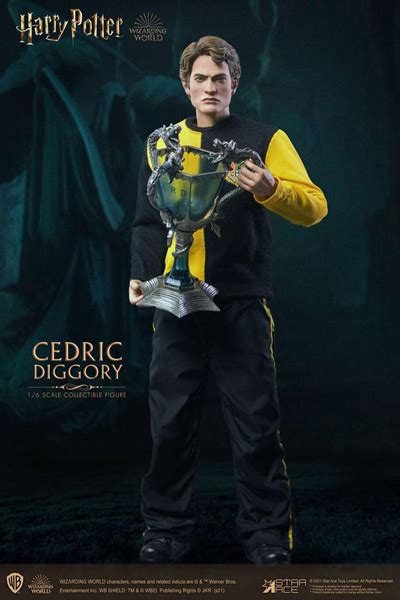 Harry Potter: Cedric Diggory Triwizard Tournament | Figurky a sošky | Fate Gate