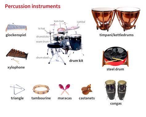 42 best ideas for coloring | Percussion Instruments List With Pictures