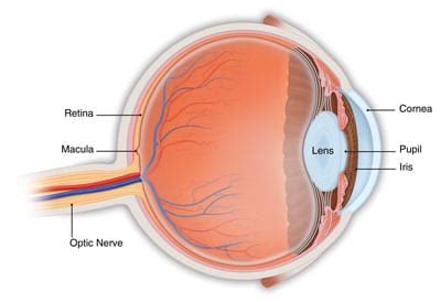 Retina Treatment & Surgery, Macular Degeneration – Cabarrus Eye Center