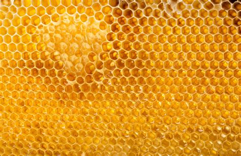 Premium Photo | Honeycomb texture