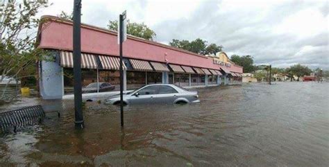 European Street San Marco To Reopen 5 Months After Irma's Flood | WJCT NEWS