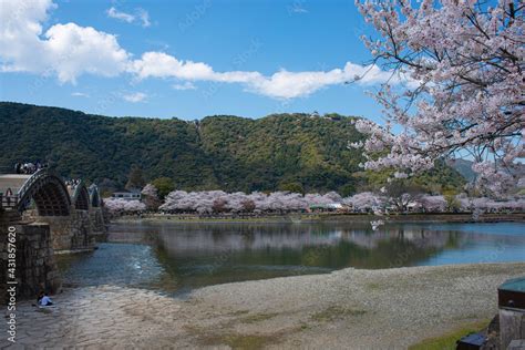 Kintai Bridge Stock Photo | Adobe Stock