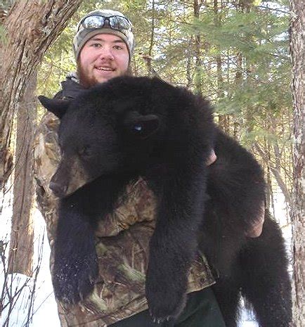 Maine Bear Population at Record High – Foggy Mountain Guide Service