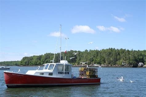 Guide To The Best Lobster Boat Tours In Maine