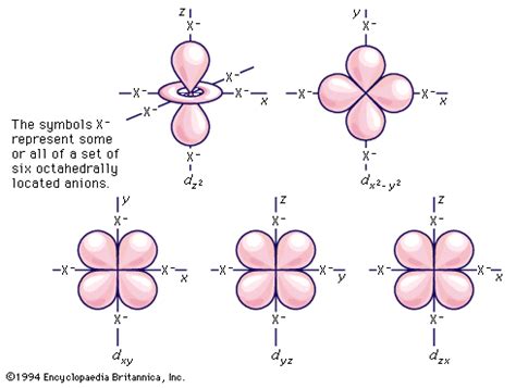 D-orbital | physics | Britannica