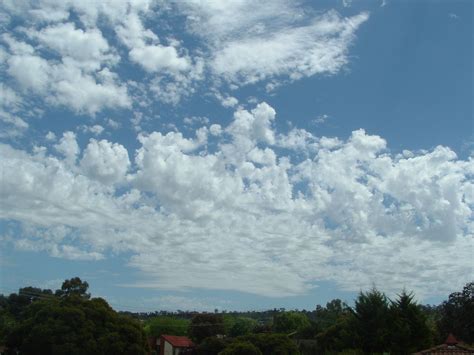 Altocumulus Castellanus