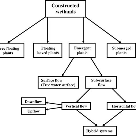 Classificationof constructed wetlands for wastewater treatment... | Download Scientific Diagram