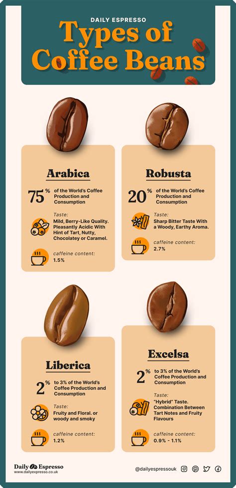 Types of Coffee Beans: All 4 Species Explained + Pictures