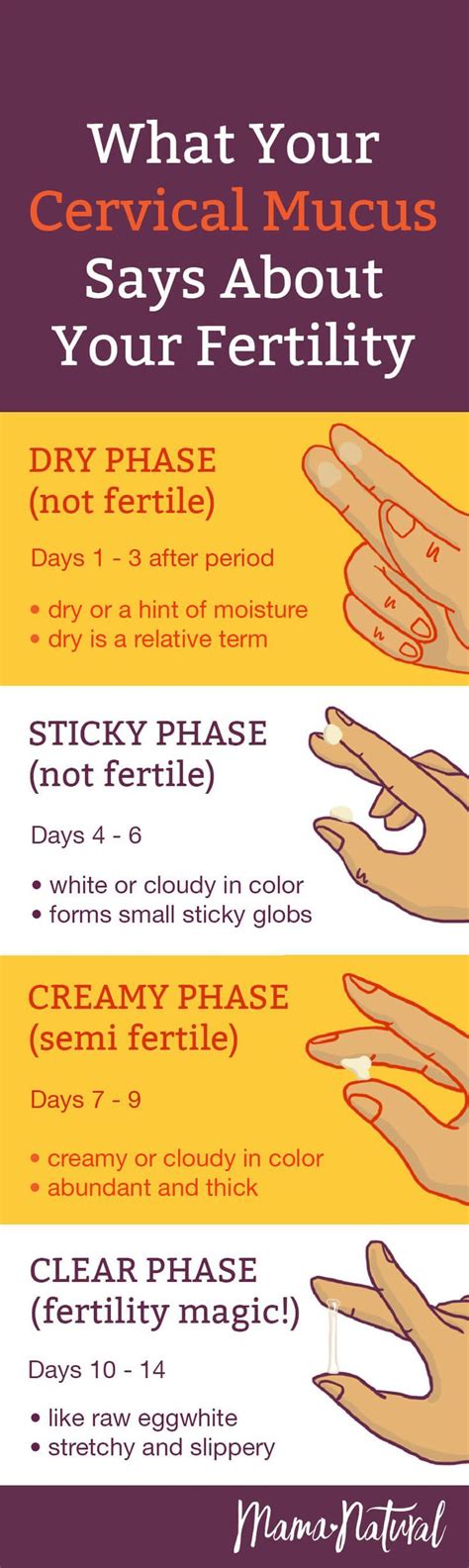 Cervical Mucus Chart: Know When You're Fertile | Cervical mucus ...