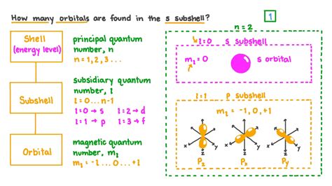 Question Video: Determining the Number of Orbitals in an s Subshell | Nagwa